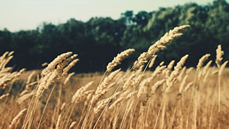 呼死你软件下载